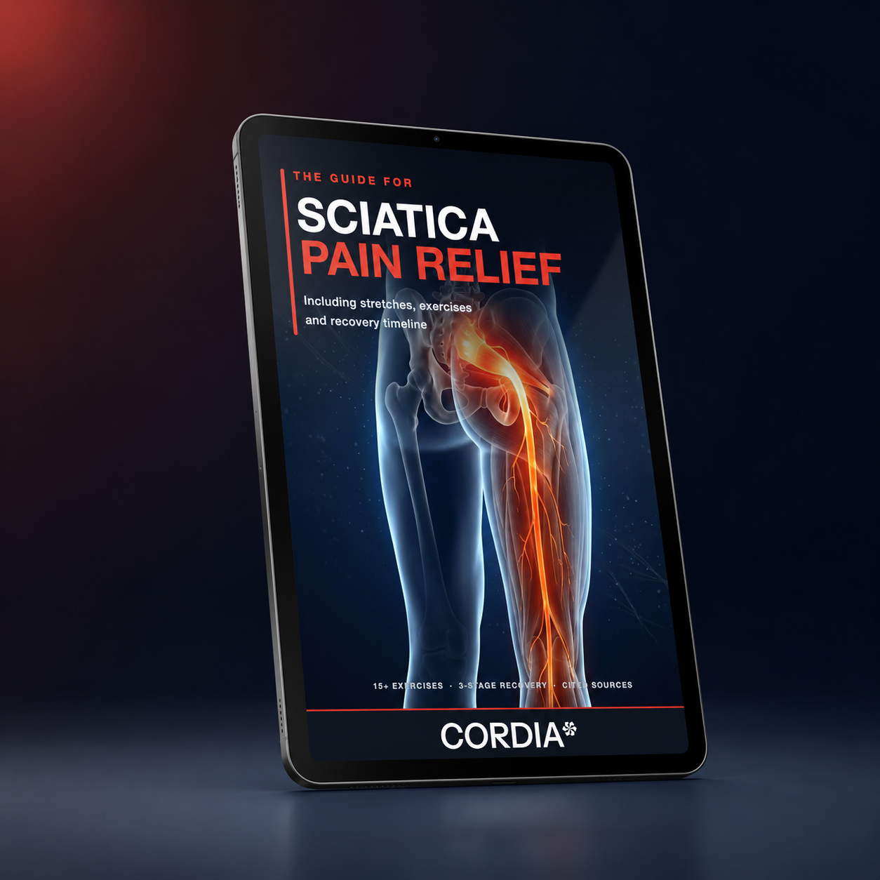 Ebook - SCIATICA PAIN RELIEF
