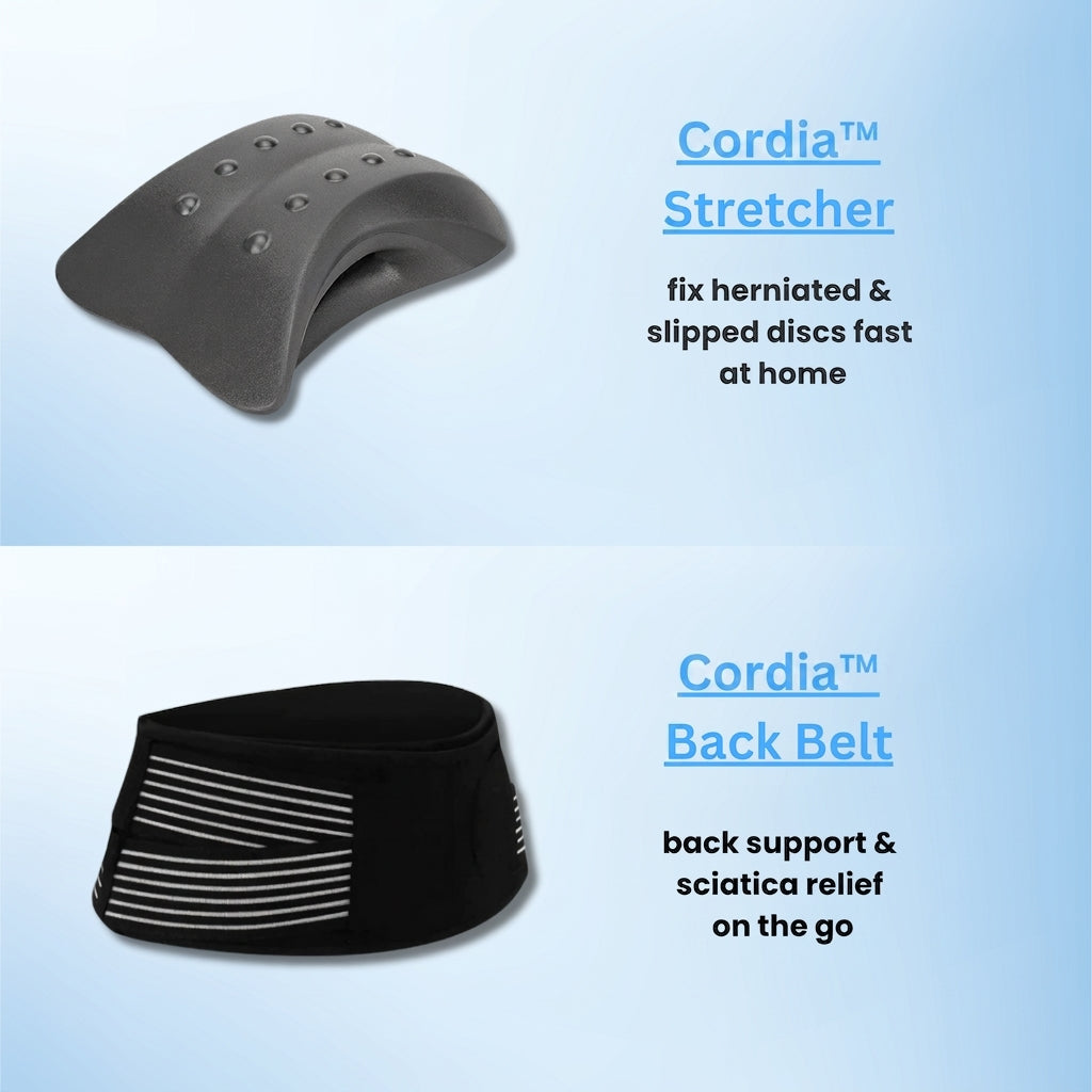 stretcher + back support belt