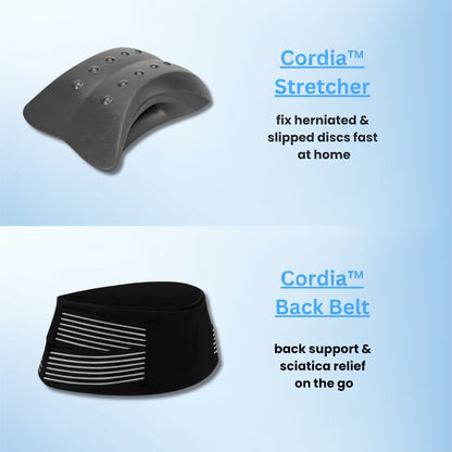 stretcher-gallery-10.png