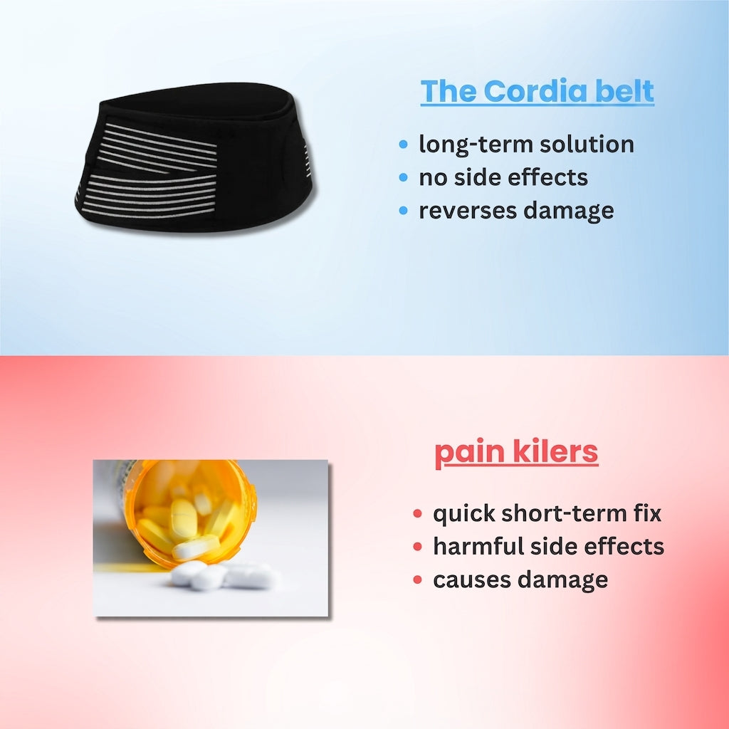 belt-gallery-02.png
